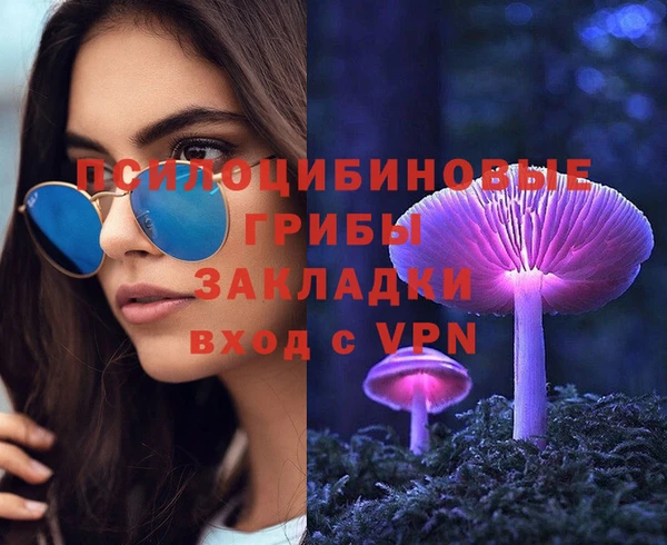 герыч Осинники