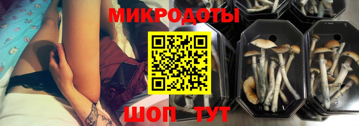 Лысьва  Галлюциногенные грибы мицелий  Вход с VPN 